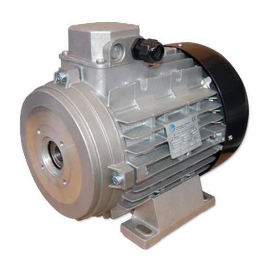 MOTOR 10 CV E/H 3-230/400V 1.450 RPM Ø.24 mm 132S